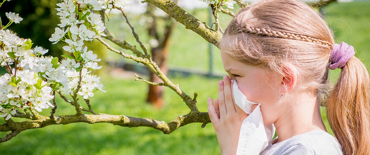 Pylová alergie: Jak na ni vyzrát?